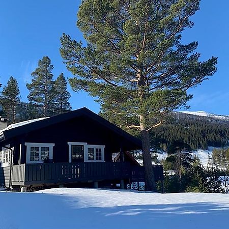 Uvdalhytta - Close To Cross Country And Downhill Skiing Sonstebo Экстерьер фото