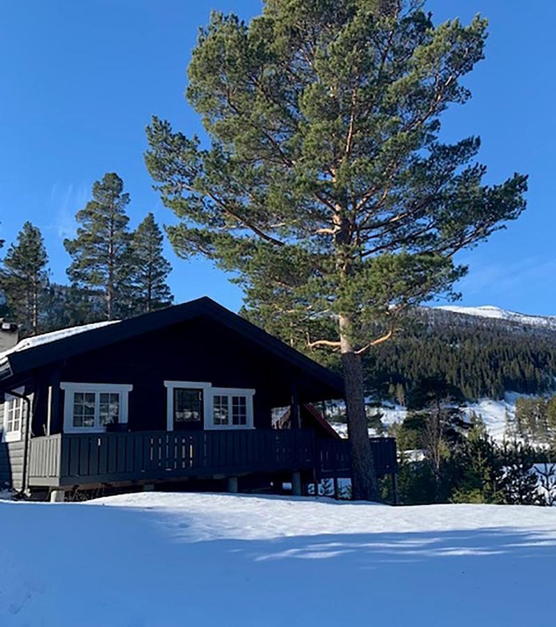 Uvdalhytta - Close To Cross Country And Downhill Skiing Sonstebo Экстерьер фото