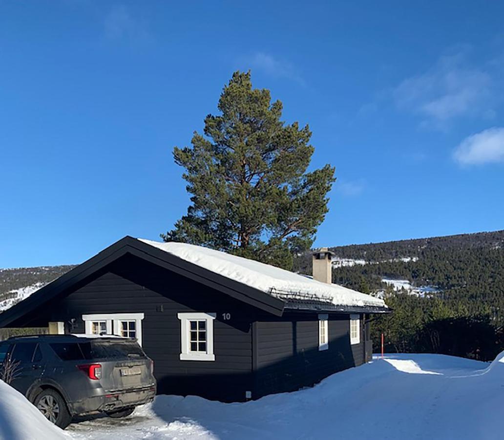 Uvdalhytta - Close To Cross Country And Downhill Skiing Sonstebo Экстерьер фото