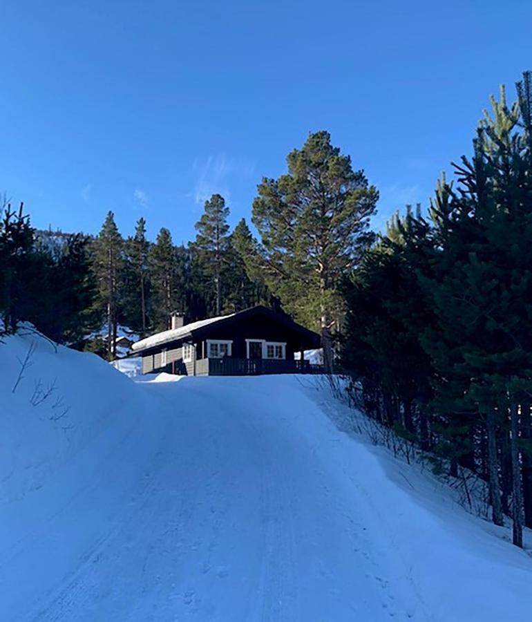 Uvdalhytta - Close To Cross Country And Downhill Skiing Sonstebo Экстерьер фото